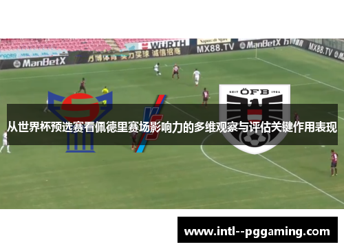 从世界杯预选赛看佩德里赛场影响力的多维观察与评估关键作用表现