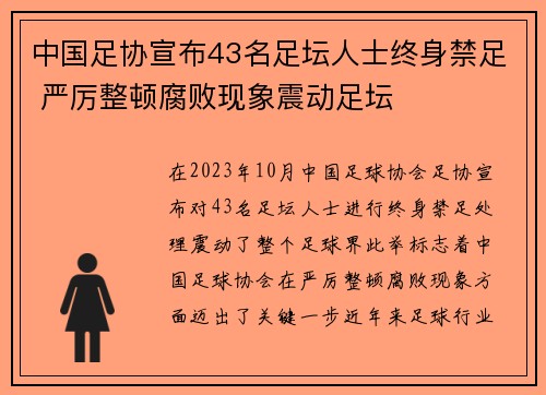 中国足协宣布43名足坛人士终身禁足 严厉整顿腐败现象震动足坛